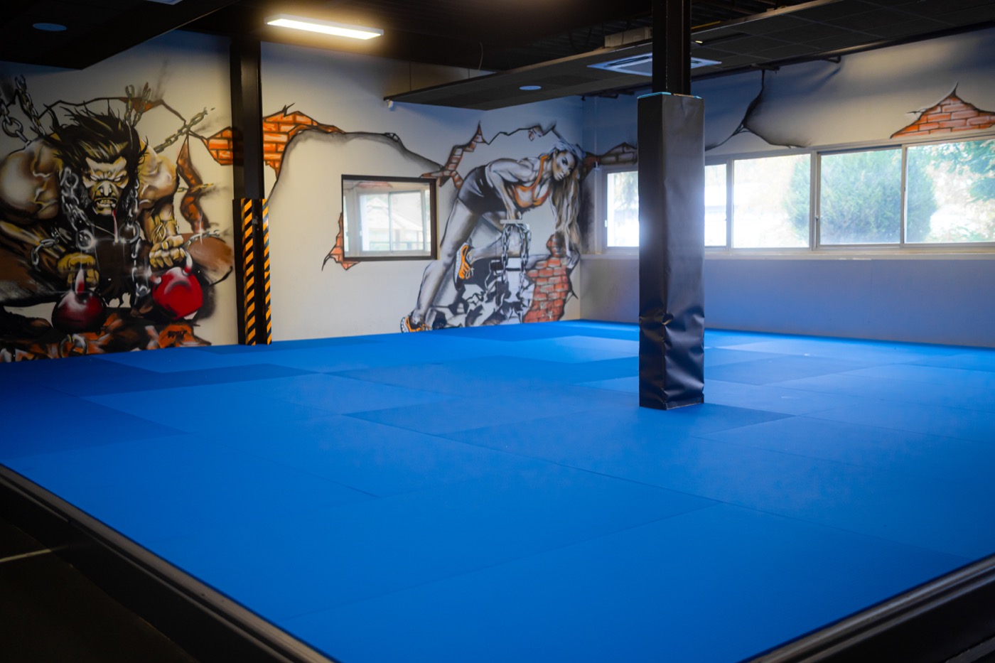 Tatamis L.I.P Academy — espace BJJ Val d'Europe