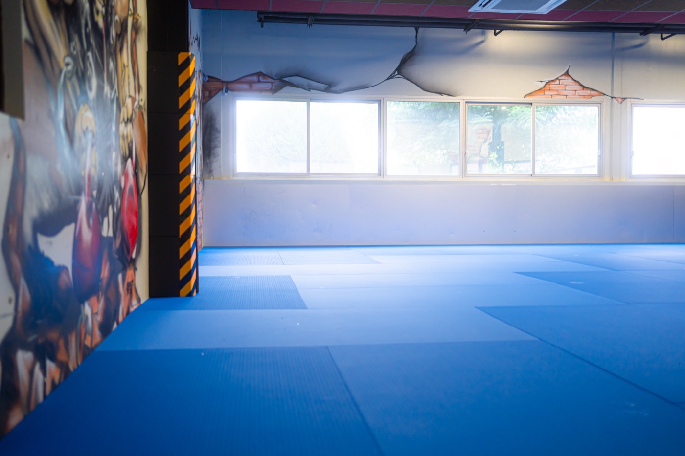 Entraînement BJJ L.I.P Academy 77