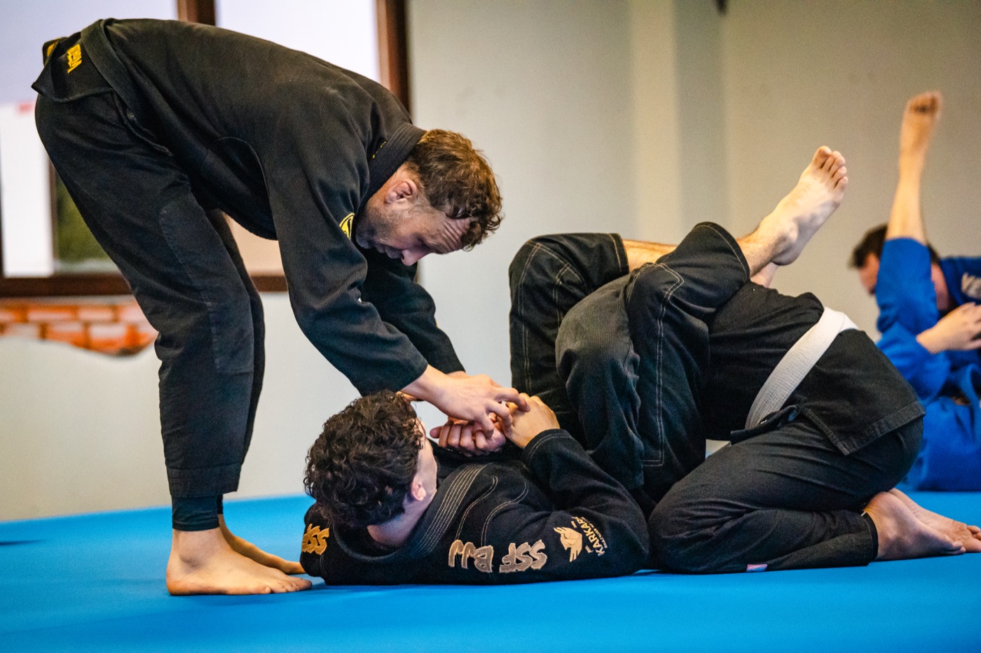 Dojo BJJ Seine-et-Marne — cours adultes et enfants